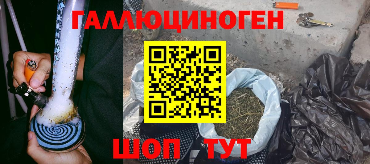 как найти закладки  Галлюциногенные грибы GOLDEN TEACHER  Вход с VPN  Галлюциногенные грибы Psilocybine cubensis  Приморско-Ахтарск 